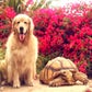 Profile image of Larry and Cricket