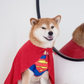 Profile image of Kubo