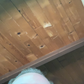 Profile image of Dylan Webb