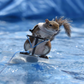Profile image of Twiggy the Water Skiing Squirrel