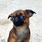 Profile image of Edna the Runt