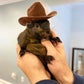 Profile image of Peanut the Squirrel
