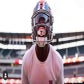 Profile image of Darnay Holmes