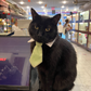 Profile image of Jeremy The Manager