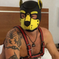 Profile image of Bad Pup Ash