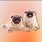 Profile image of Sonny and Mija