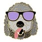 Profile image of Scout the Doodle Boy