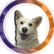 taisontv1