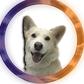 Profile image of TaisonTV