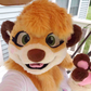 Profile image of Meerka the Meerkat