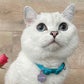 Profile image of White Coffee Cat