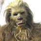 Profile image of Paul Davis