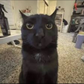 Profile image of HowToDo_Anything