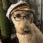 Profile image of Joshua Bark