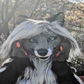 Profile image of Cassidy Civet