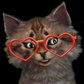 Profile image of Little Dumpling