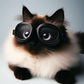 Profile image of Cat Castle