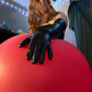 Profile image of Meltedbubblegum