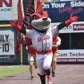 Profile image of Nutzy the Flying Squirrel
