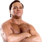 Profile image of Larry Zbyszko