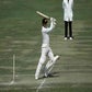 Profile image of Greg Chappell