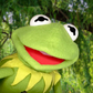 Profile image of Kermit the Tribute