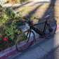 Profile image of Calibike