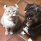 Profile image of Brewskie and Squink