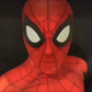 Profile image of Spider man / Gavin Roberts
