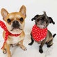 Profile image of Pee Wee Herman and Dottie