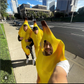 Profile image of Mediocre Banana