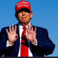 Profile image of Donald Trump Impersonator