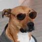 Profile image of Callum The Ridgy