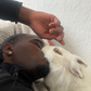 Profile image of Mr Phiri
