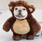 Profile image of Charlie The Teddy Bear