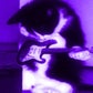Profile image of BellsHQ