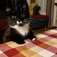 Profile image of Popi