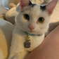 Profile image of Wednesday