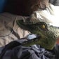 Profile image of Crocodile Puppet