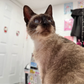 Profile image of misha