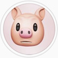 Profile image of Swineryy
