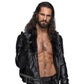 Profile image of Seth Rollins