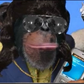 Profile image of Trey Monkeystasio