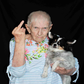 Profile image of Jewel DOWKES