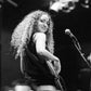 Profile image of Tal Wilkenfeld