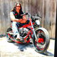Profile image of Chuck Palumbo