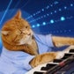 Profile image of Keyboard Cat
