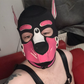 Profile image of Charlie the pup