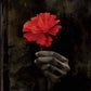 Profile image of Hadestown Tour