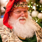 Profile image of Santa Barney
